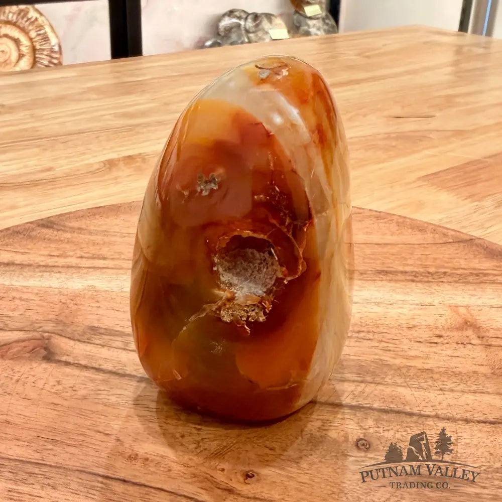 Polished Carnelian Accent 3.86’’ Accent