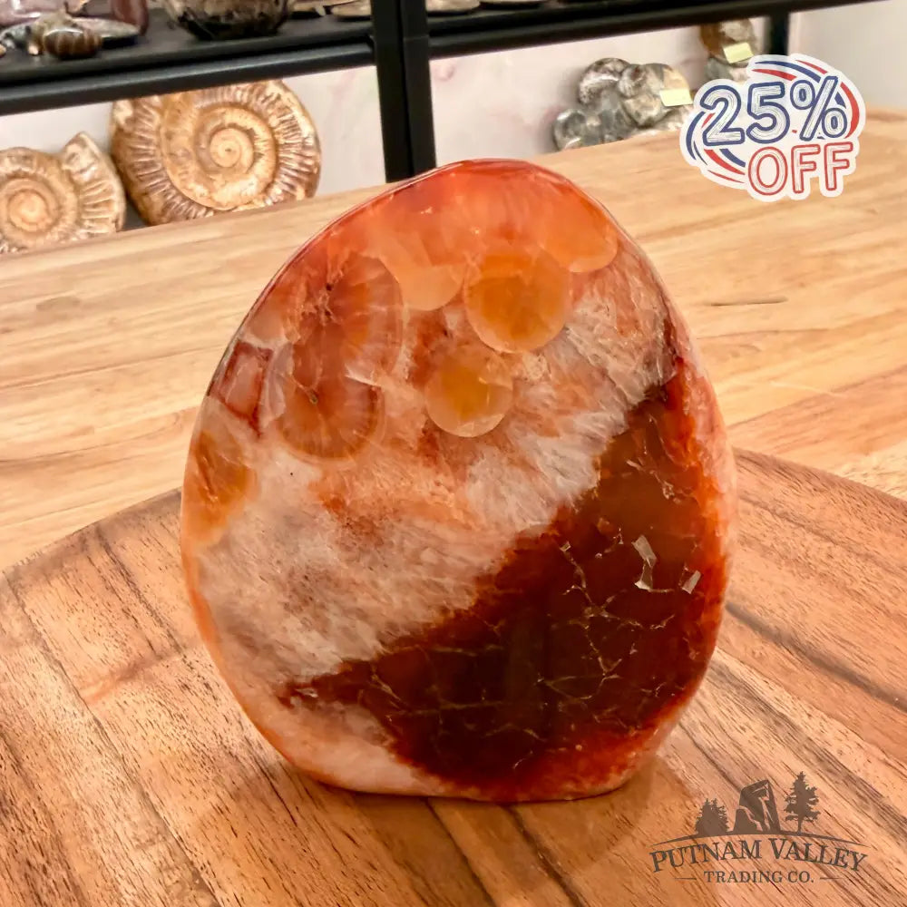 Polished Carnelian Accent 4.78’’ Accent