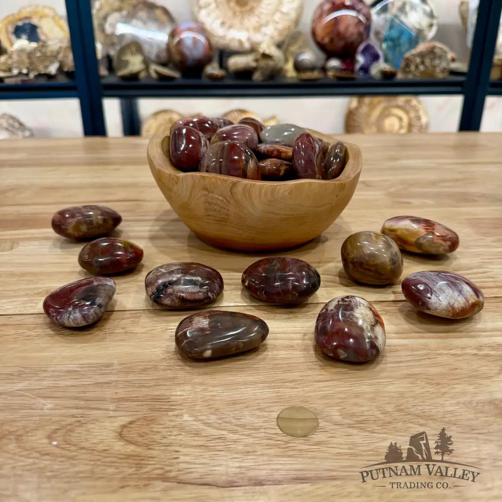 Polished Madagascar Petrified Wood Stones (1 lb) Tumbled Stone