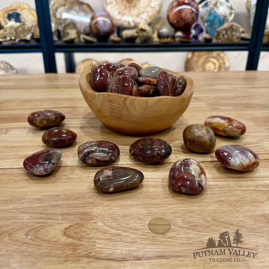 Polished Madagascar Petrified Wood Stones (1 lb) Tumbled Stone