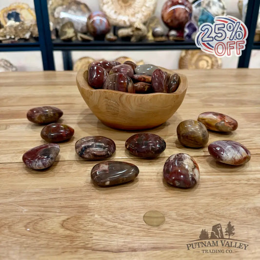 Polished Madagascar Petrified Wood Stones (1 lb) Tumbled Stone