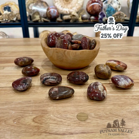 Polished Madagascar Petrified Wood Stones (1 lb) Tumbled Stone