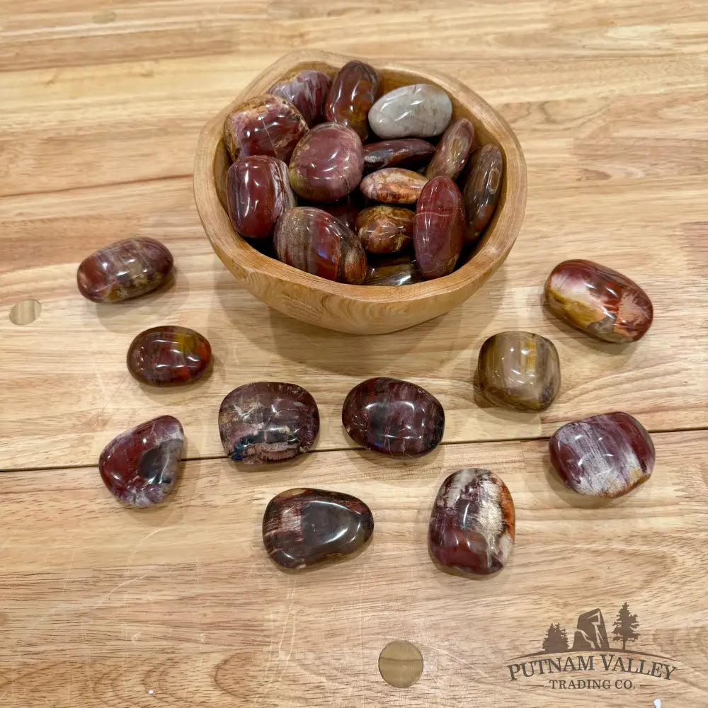 Polished Madagascar Petrified Wood Stones (1 lb) Tumbled Stone