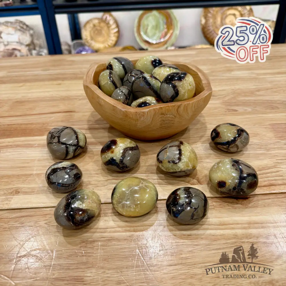 Polished Madagascar Septarian Stones (1 lb) - Tumbled Stone