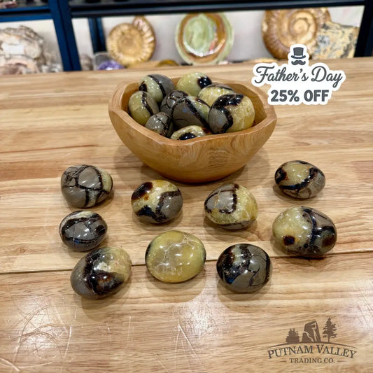 Polished Madagascar Septarian Stones (1 lb) - Tumbled Stone