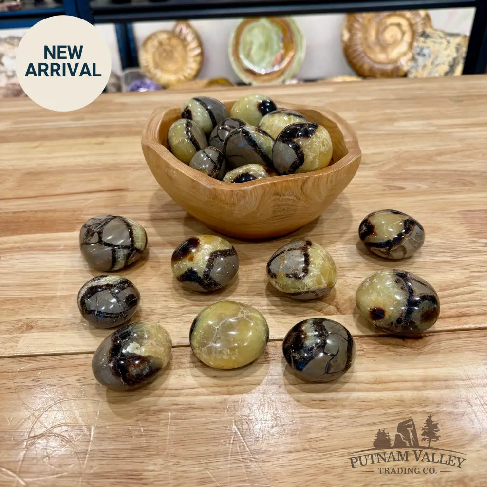 Polished Madagascar Septarian Stones (1 lb) - Tumbled Stone