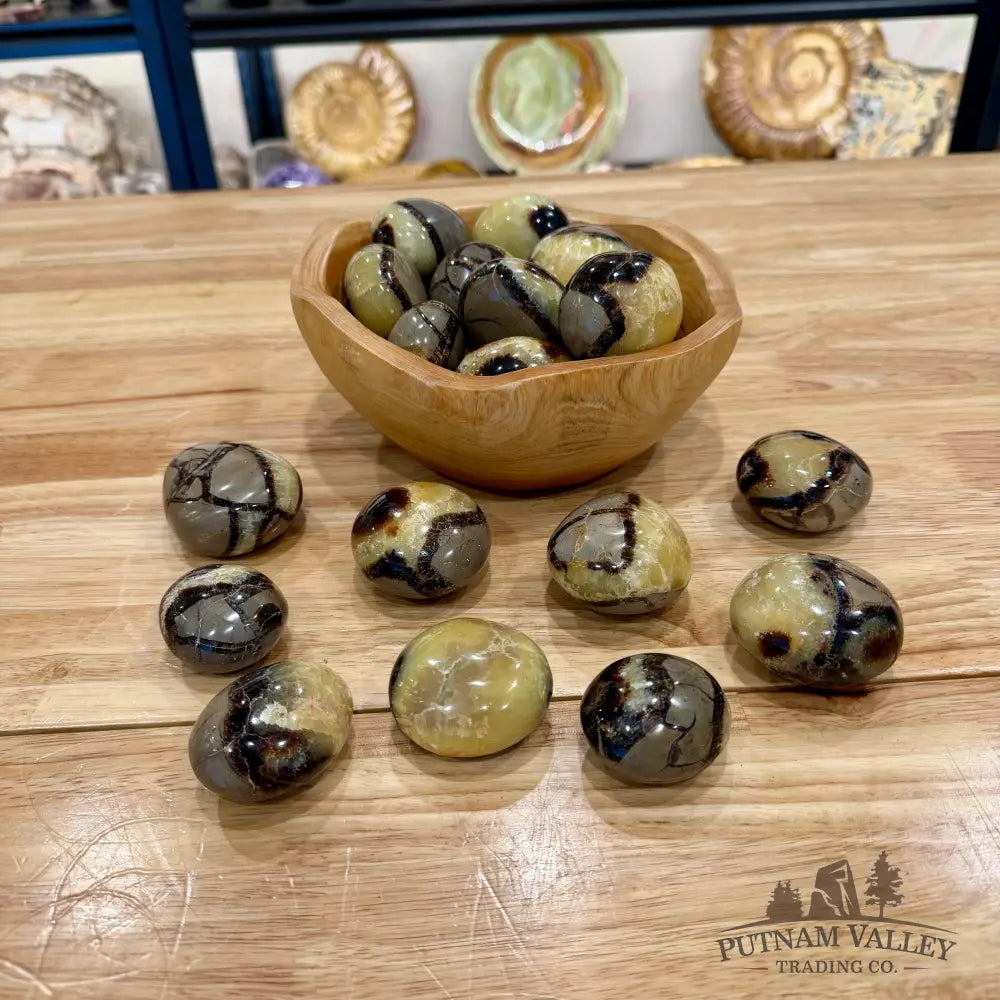 Polished Madagascar Septarian Stones (1 lb) - Tumbled Stone