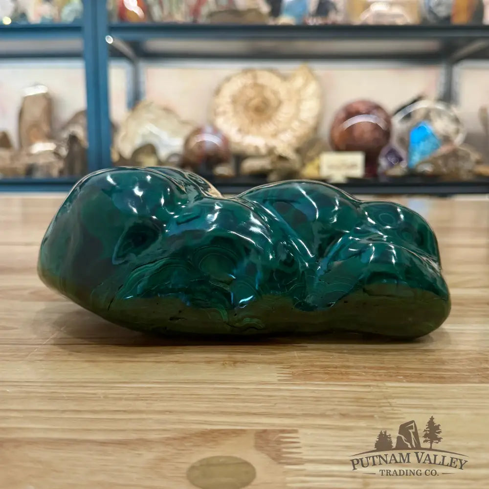 Polished Malachite Freeform 8.5’’ - Accent