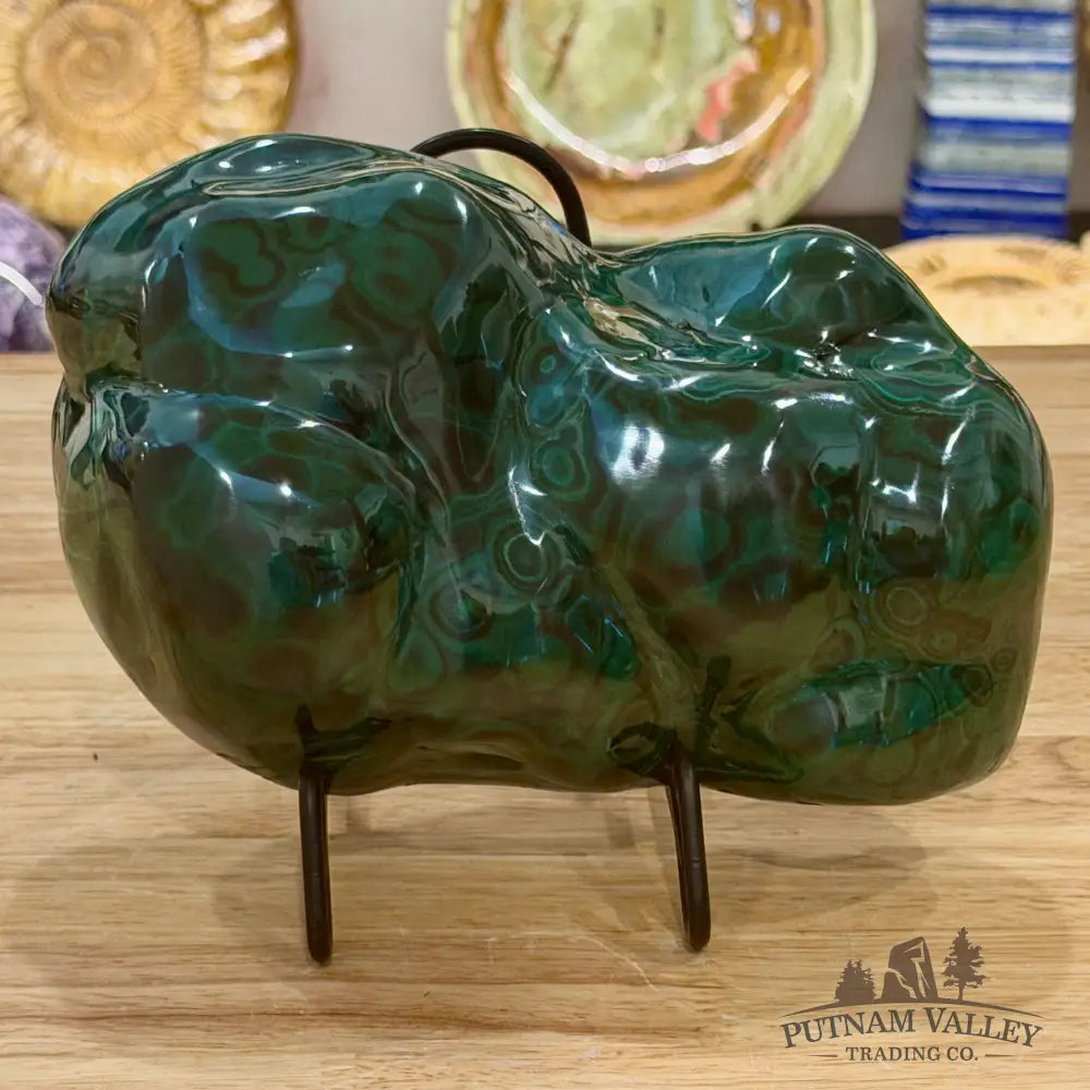 Polished Malachite Freeform 8.5’’ - Accent