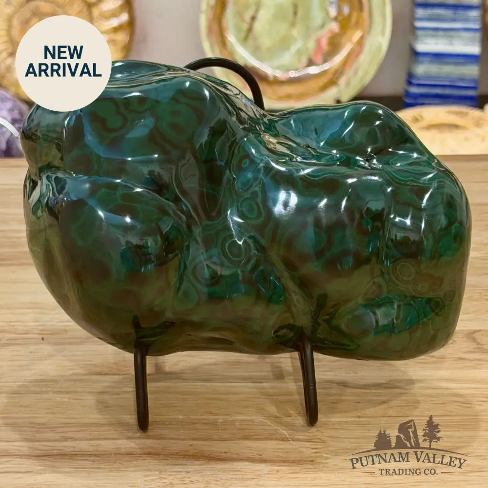 Polished Malachite Freeform 8.5’’ - Accent