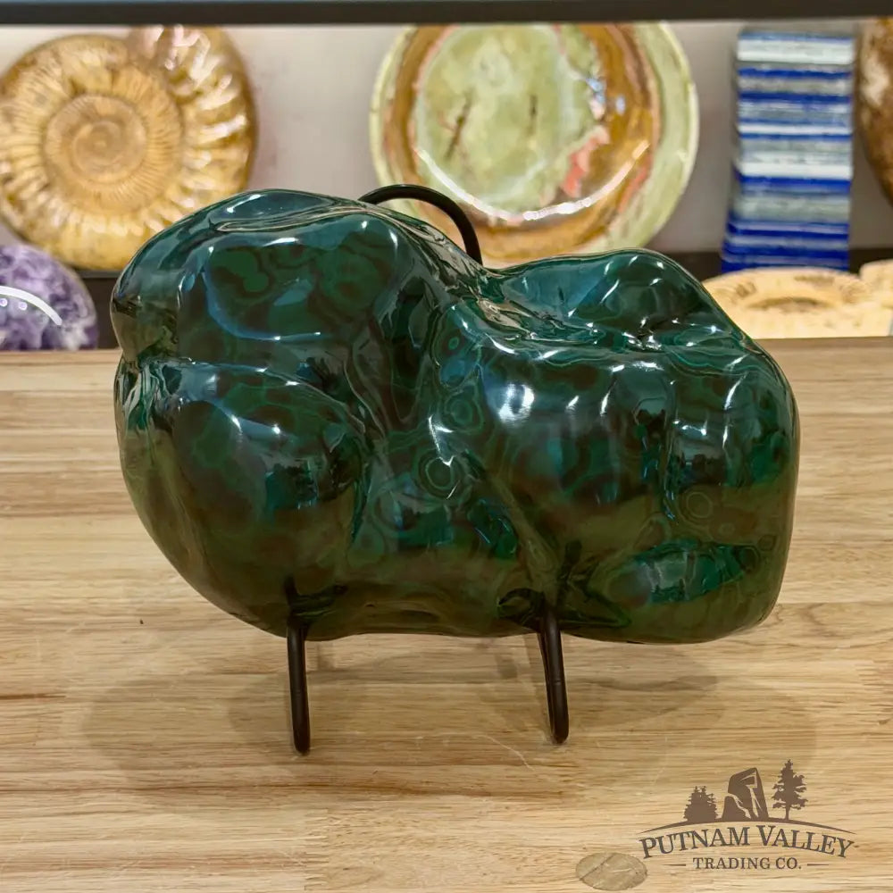 Polished Malachite Freeform 8.5’’ - Accent