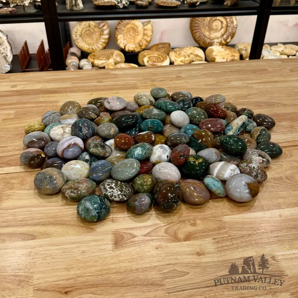 Polished Ocean Jasper Stones (1 lb) Tumbled Stone