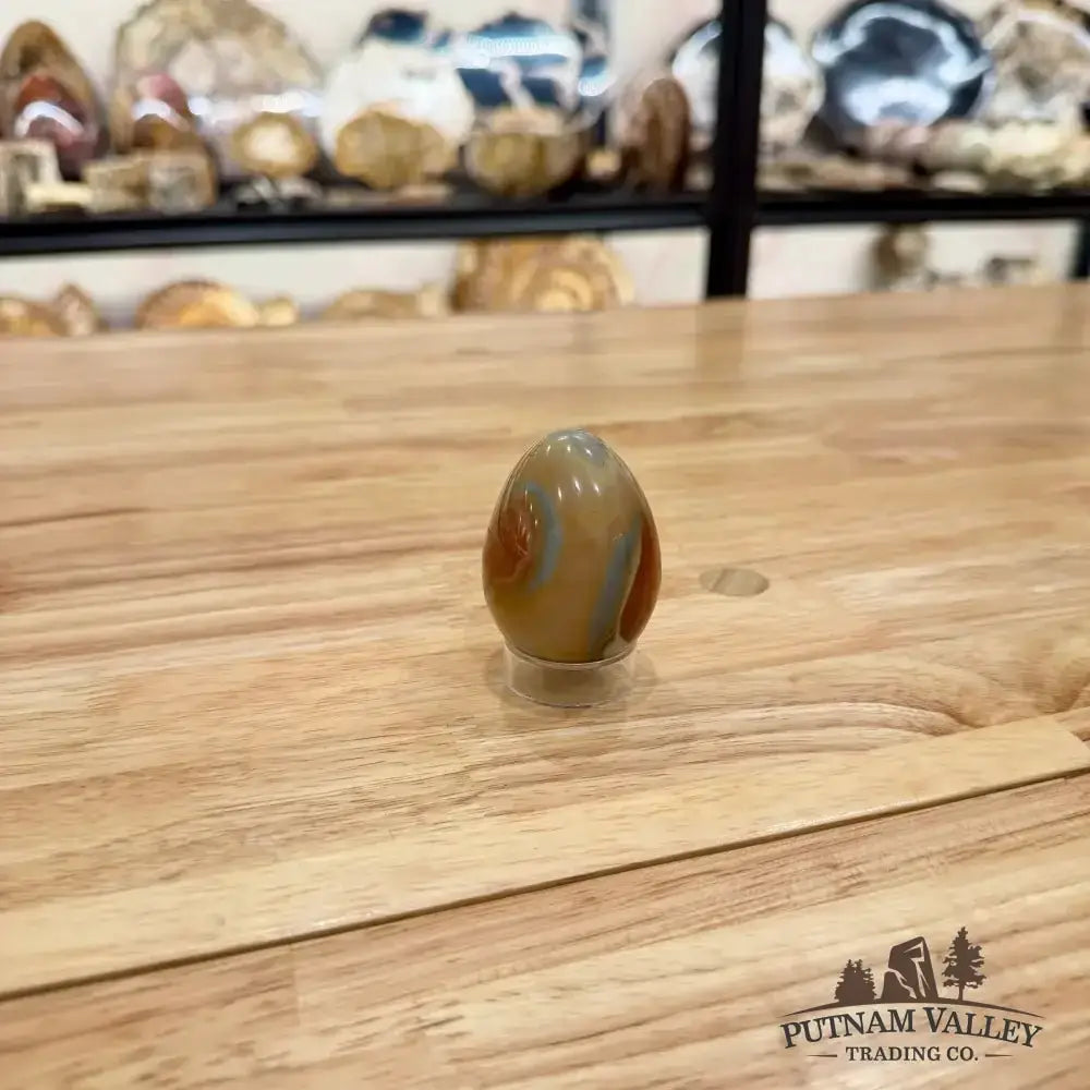 Polychrome Jasper Egg Detail View - Putnam Valley Trading
