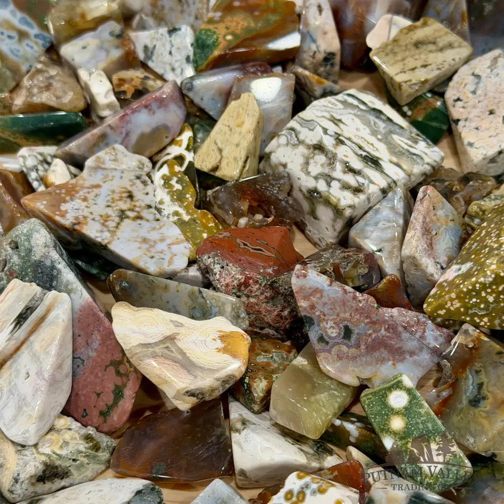 Premium Ocean Jasper Polished Freeforms (½ lb) - Tumbled Stone