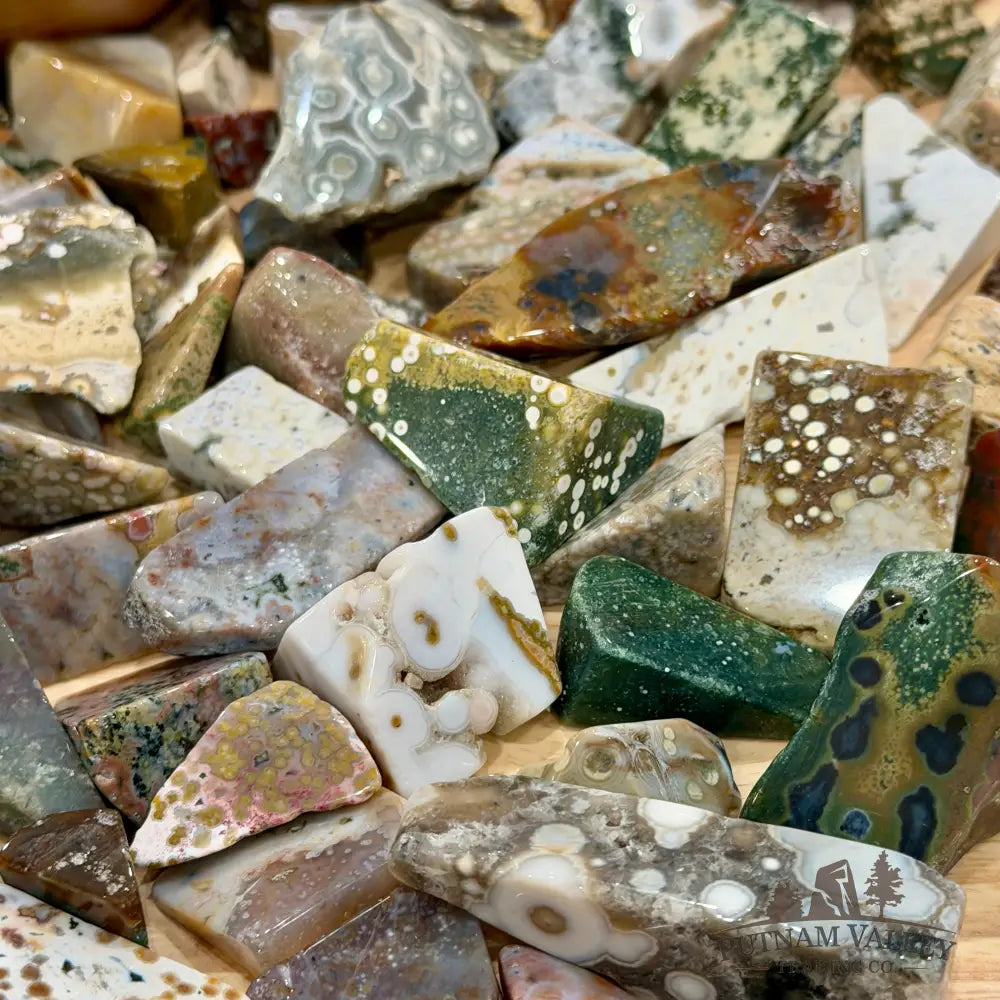 Premium Ocean Jasper Polished Freeforms (½ lb) - Tumbled Stone