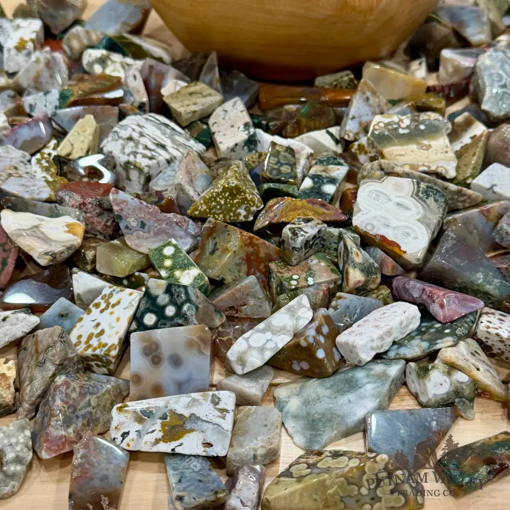 Premium Ocean Jasper Polished Freeforms (½ lb) - Tumbled Stone