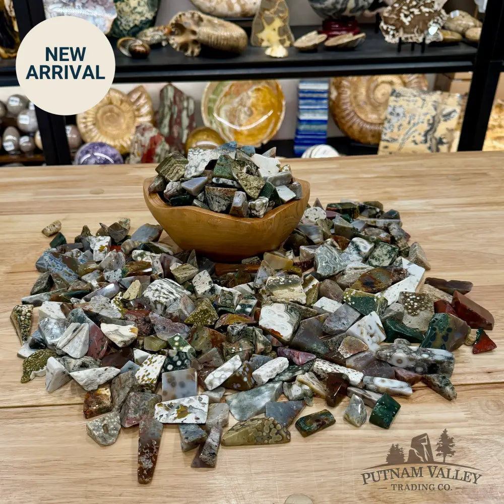 Premium Ocean Jasper Polished Freeforms (½ lb) - Tumbled Stone