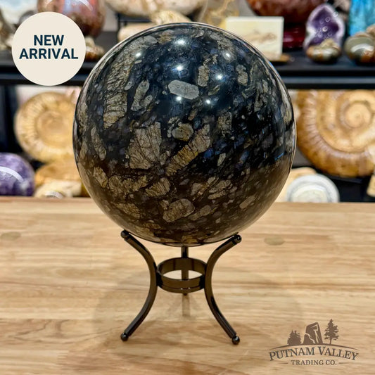 Que Sera Sphere 5.95’’ - Sphere