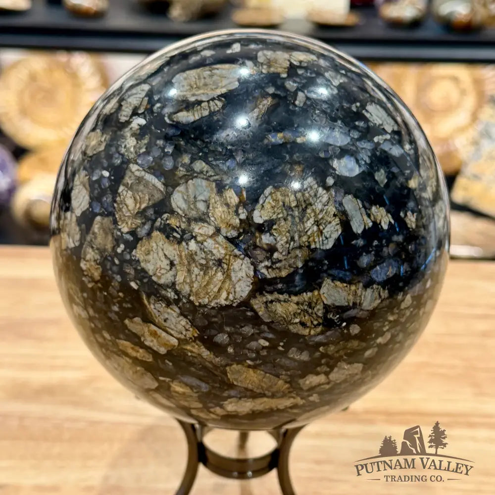 Que Sera Sphere 5.95’’ - Sphere
