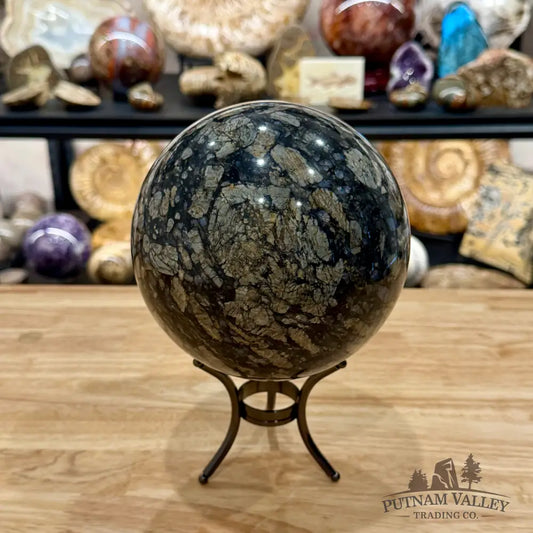 Que Sera Sphere 6’’ - Sphere