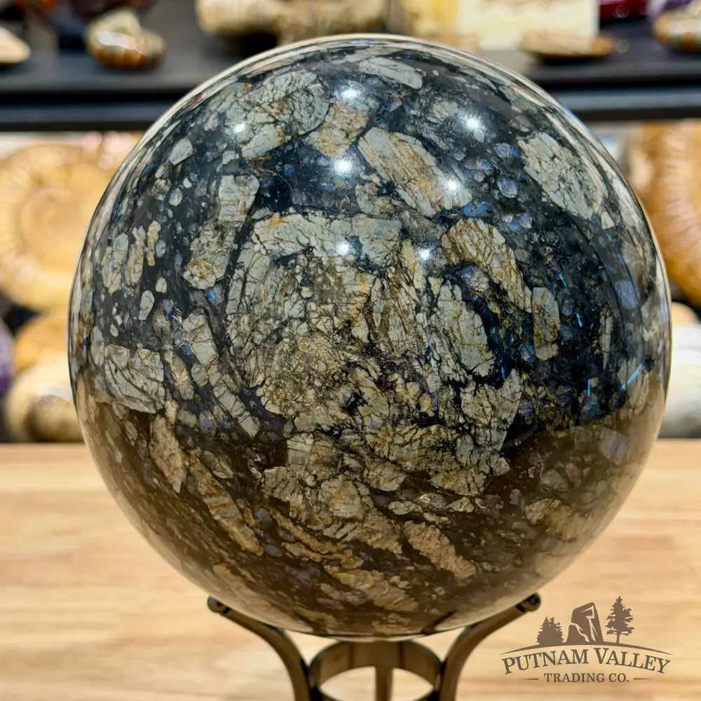 Que Sera Sphere 6’’ - Sphere