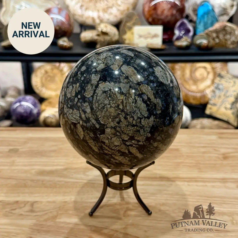 Que Sera Sphere 6’’ - Sphere