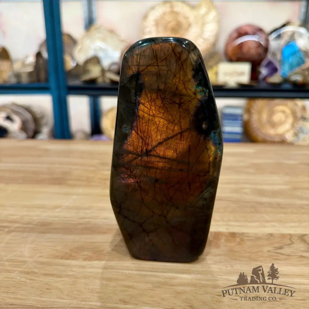 Rainbow Labradorite Table Accent 5.8’’ - Sculpture