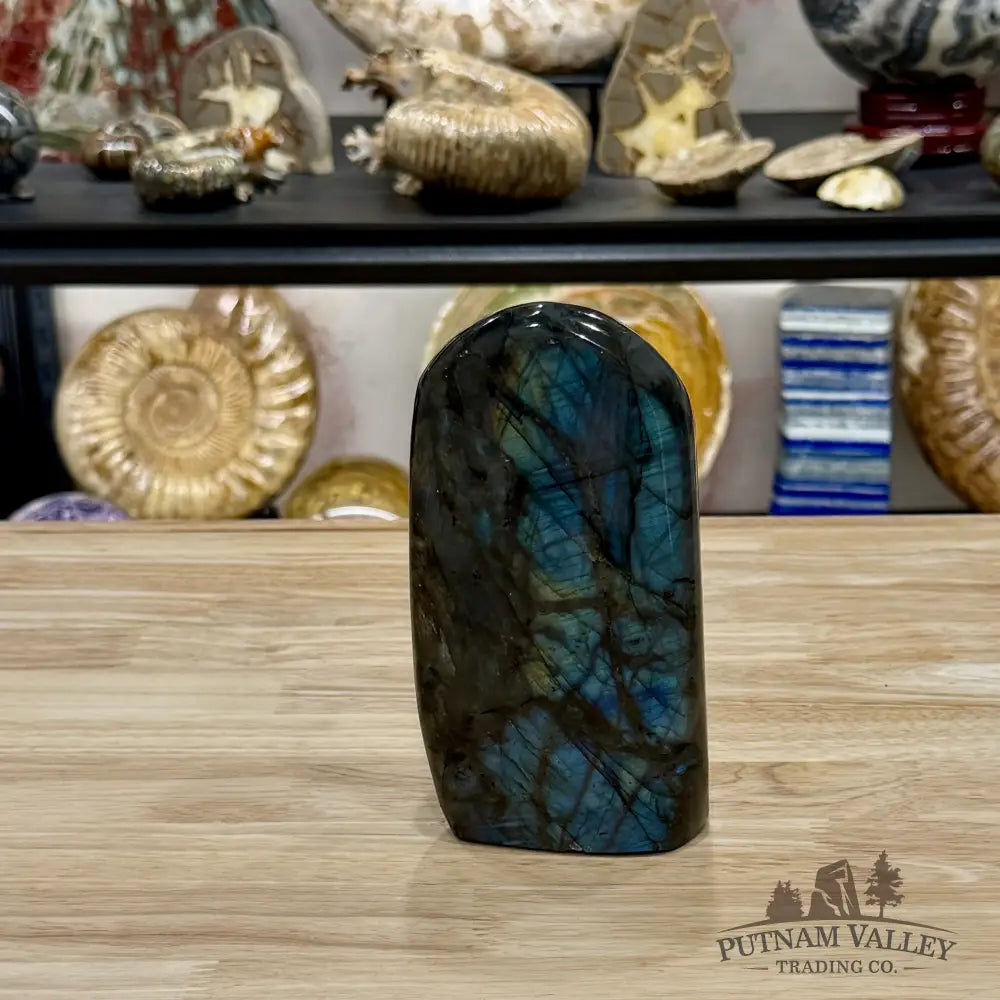 Rainbow Labradorite Table Accent 6.24’’ - Free Standing Accent