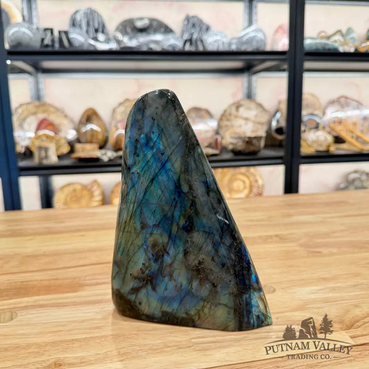 Reserve Labradorite Table Accent 7.93’’ Sculpture