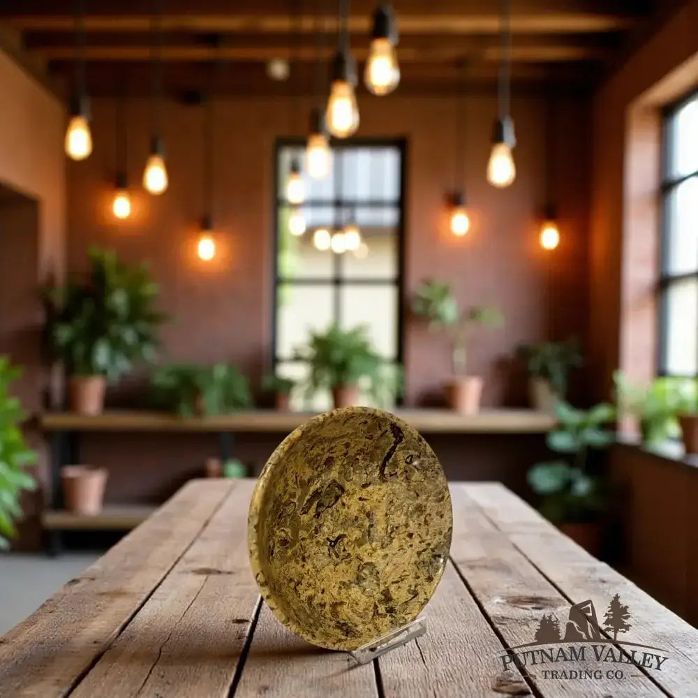 Real Fossil Marble Bowl 4" - Putnam Valley Trading Co.