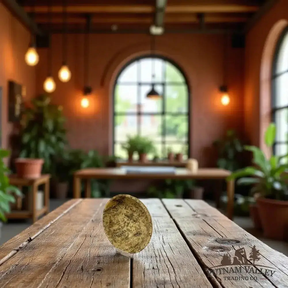 Real Fossil Marble Bowl 4" - Putnam Valley Trading Co.