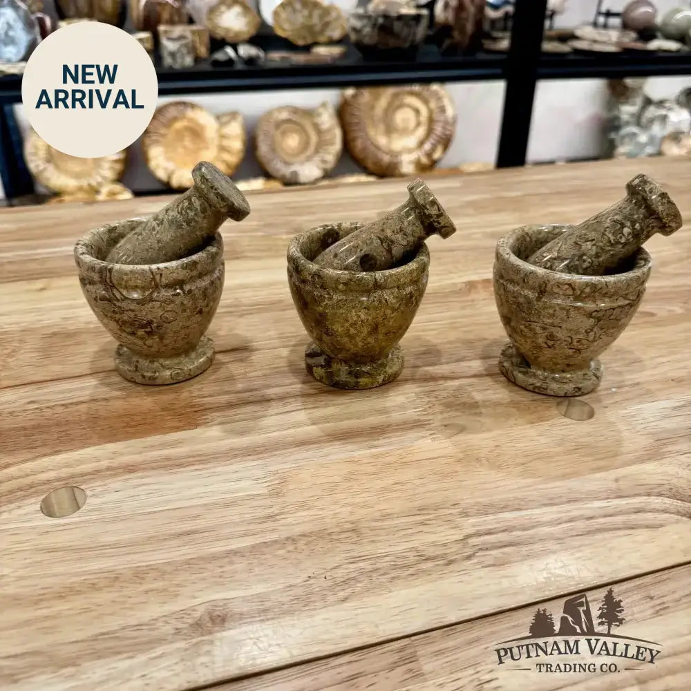Real Fossil Marble Mortar & Pestle 2.95" - Putnam Valley Trading Co.