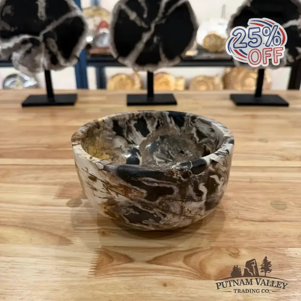 Real Indonesian Petrified Wood Rustic Bowl - Putnam Valley Trading Co.