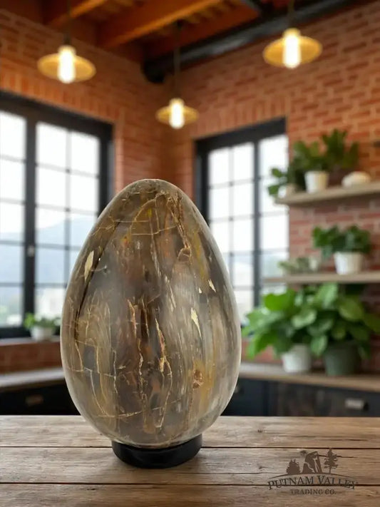 Real Petrified Wood Egg - Putnam Valley Trading Co.