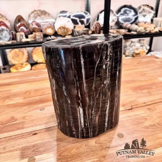 Real Petrified Wood Round Pillar - Putnam Valley Trading Co.