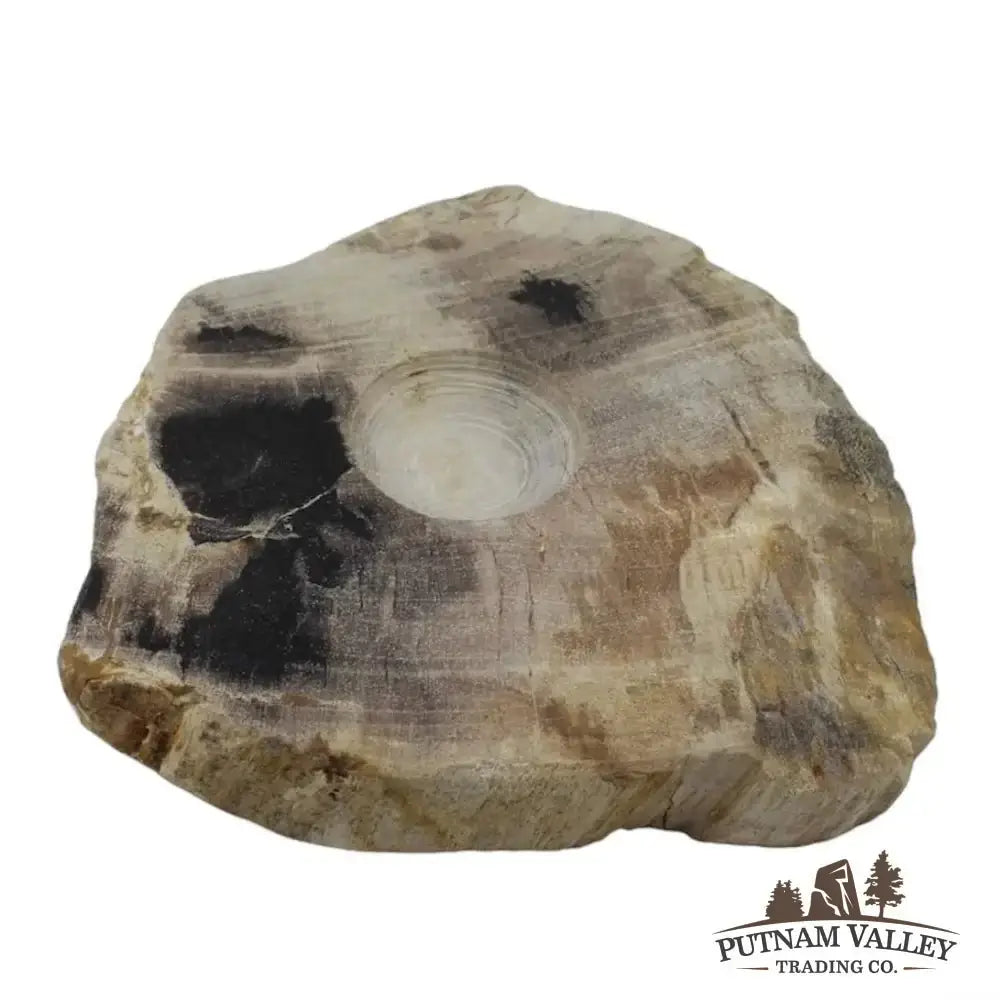 Real Petrified Wood Sphere Stands - Putnam Valley Trading Co.