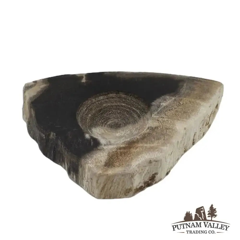 Real Petrified Wood Sphere Stands - Putnam Valley Trading Co.