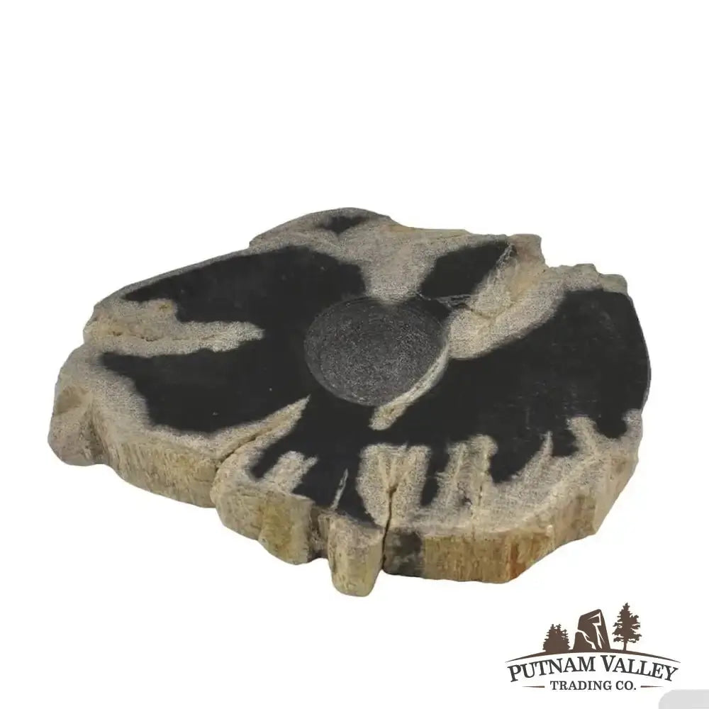 Real Petrified Wood Sphere Stands - Putnam Valley Trading Co.