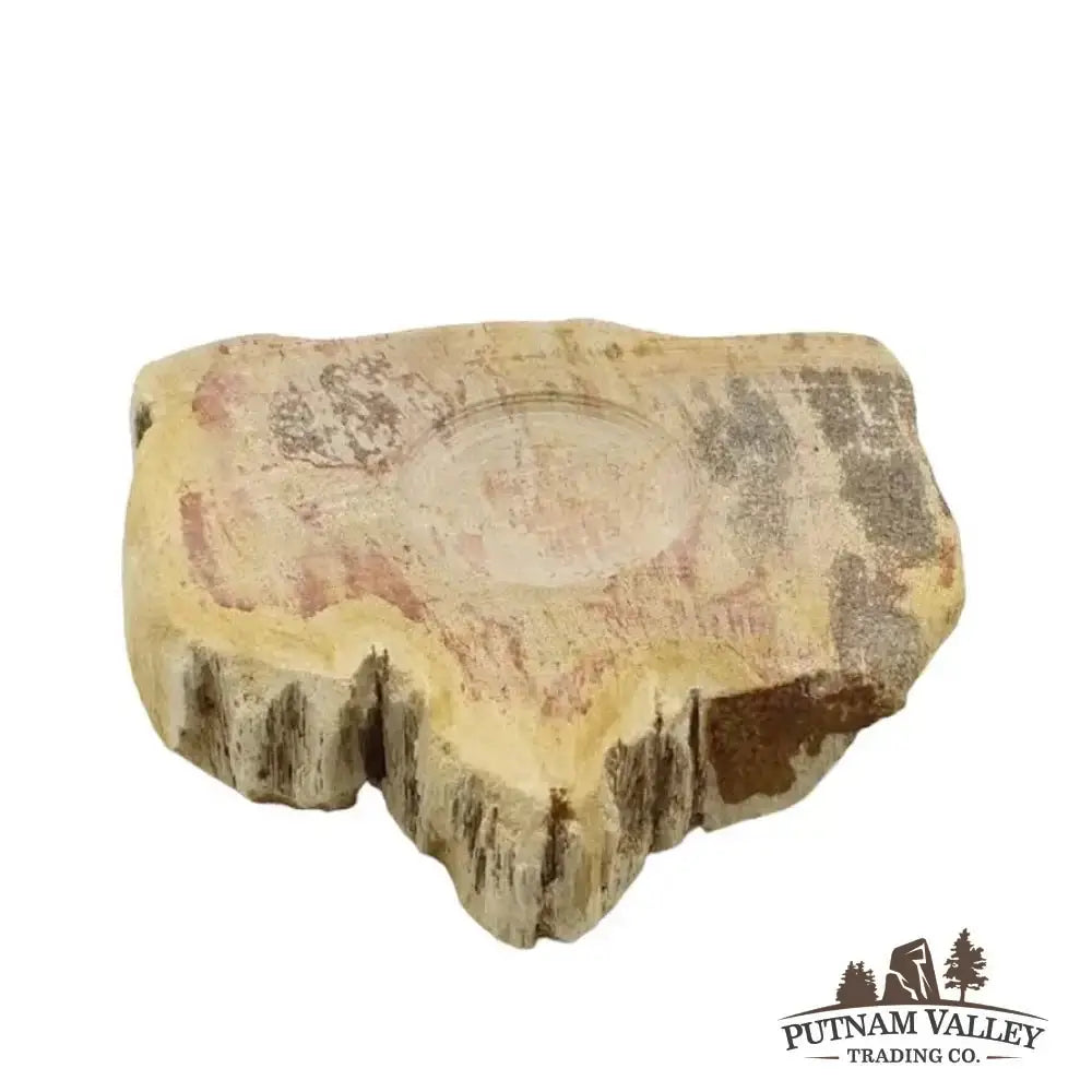 Real Petrified Wood Sphere Stands - Putnam Valley Trading Co.