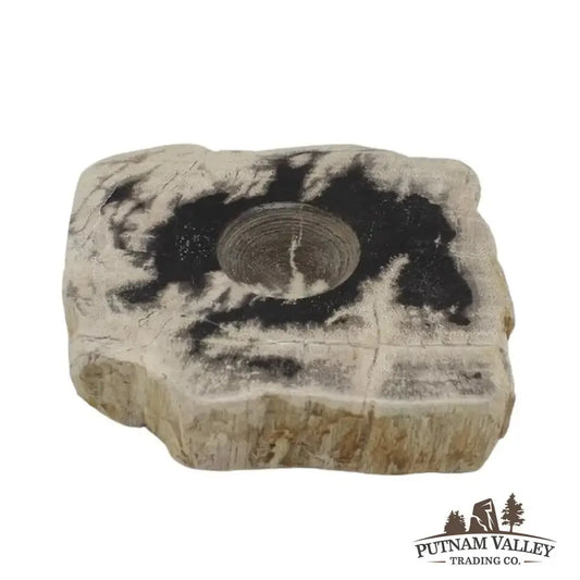 Real Petrified Wood Sphere Stands - Putnam Valley Trading Co.