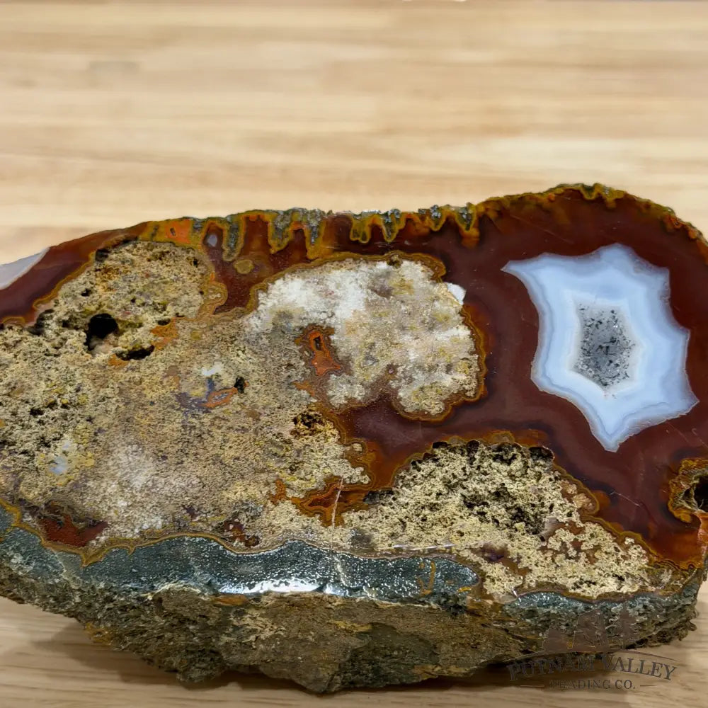 African Agate Table Accent 7.3’’ - Free Standing Accent