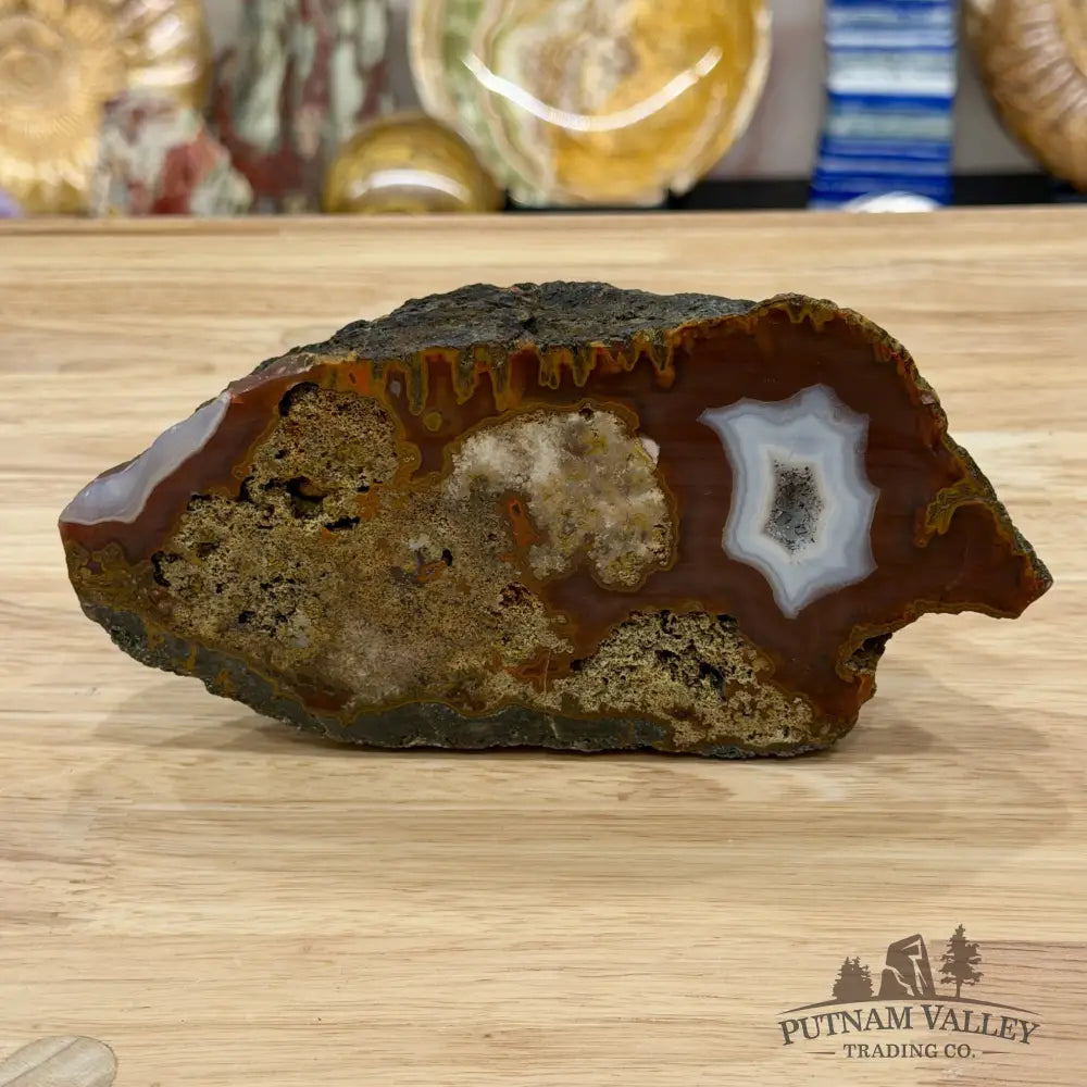 African Agate Table Accent 7.3’’ - Free Standing Accent