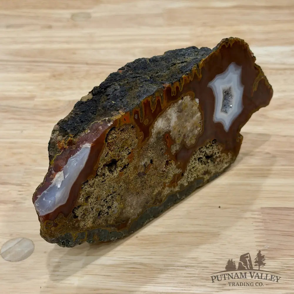 African Agate Table Accent 7.3’’ - Free Standing Accent