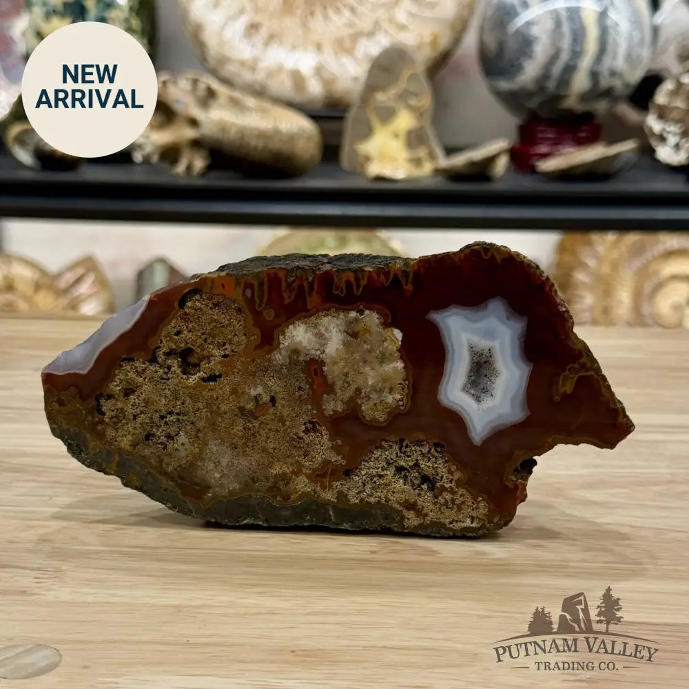 African Agate Table Accent 7.3’’ - Free Standing Accent
