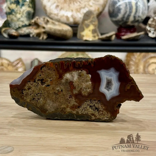 African Agate Table Accent 7.3’’ - Free Standing Accent