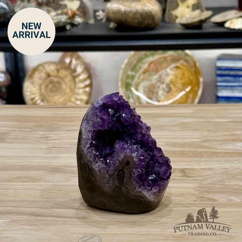 Reserve Brazilian Amethyst Table Accent 4’’ - Free Standing Accent