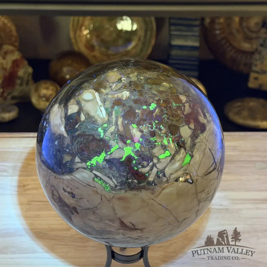 Reserve Brecciated Volcano Agate + Moss Agate Sphere 7.3’’ | UV Reactive - Sphere