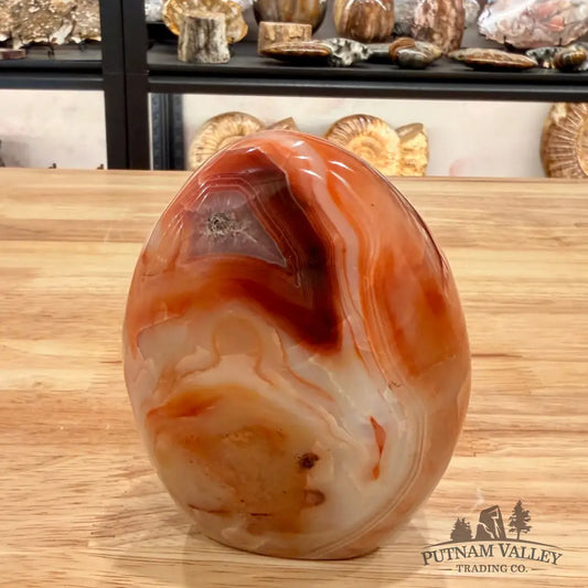 Reserve Carnelian Accent 4.3’’ Accent