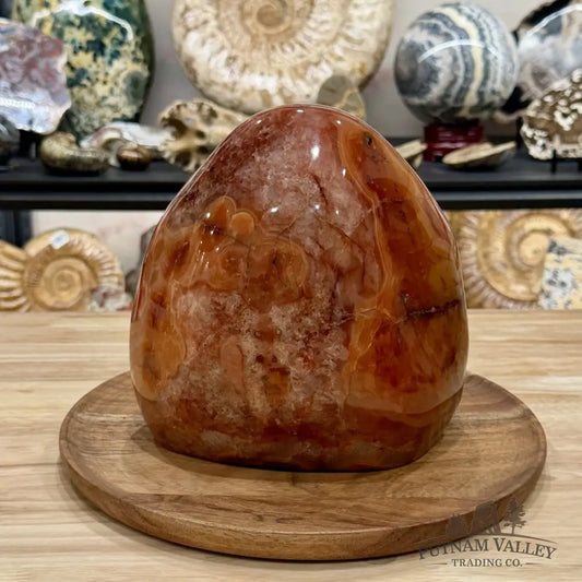 Reserve Carnelian Statement Table Accent 7.7’’ | 16.98lb - Accent