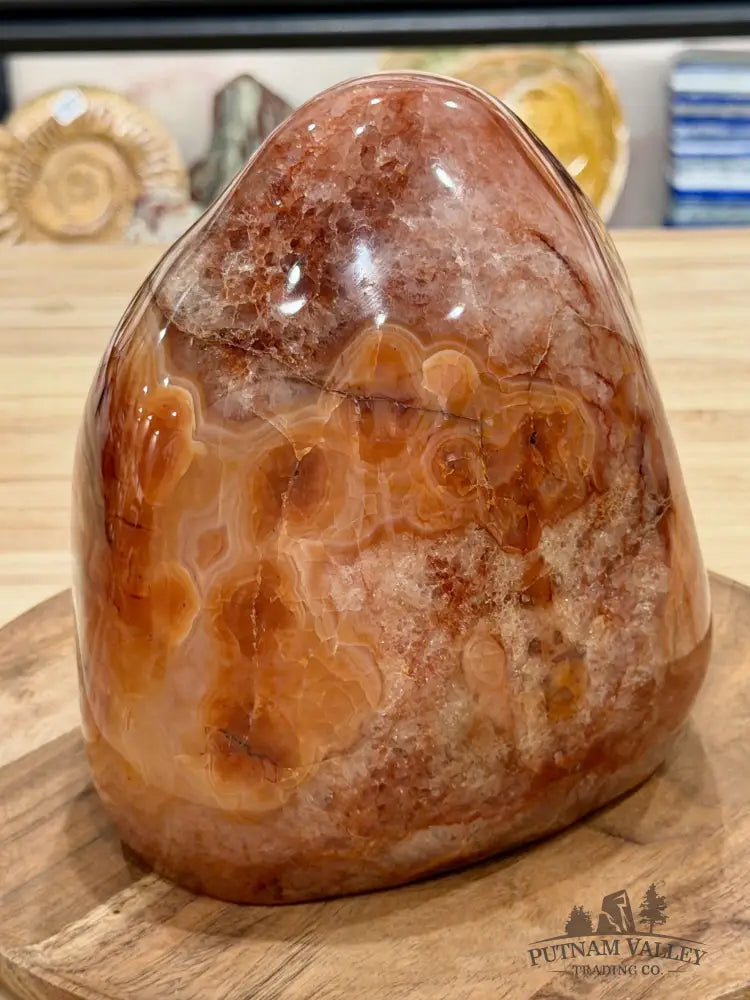 Reserve Carnelian Statement Table Accent 7.7’’ | 16.98lb - Accent